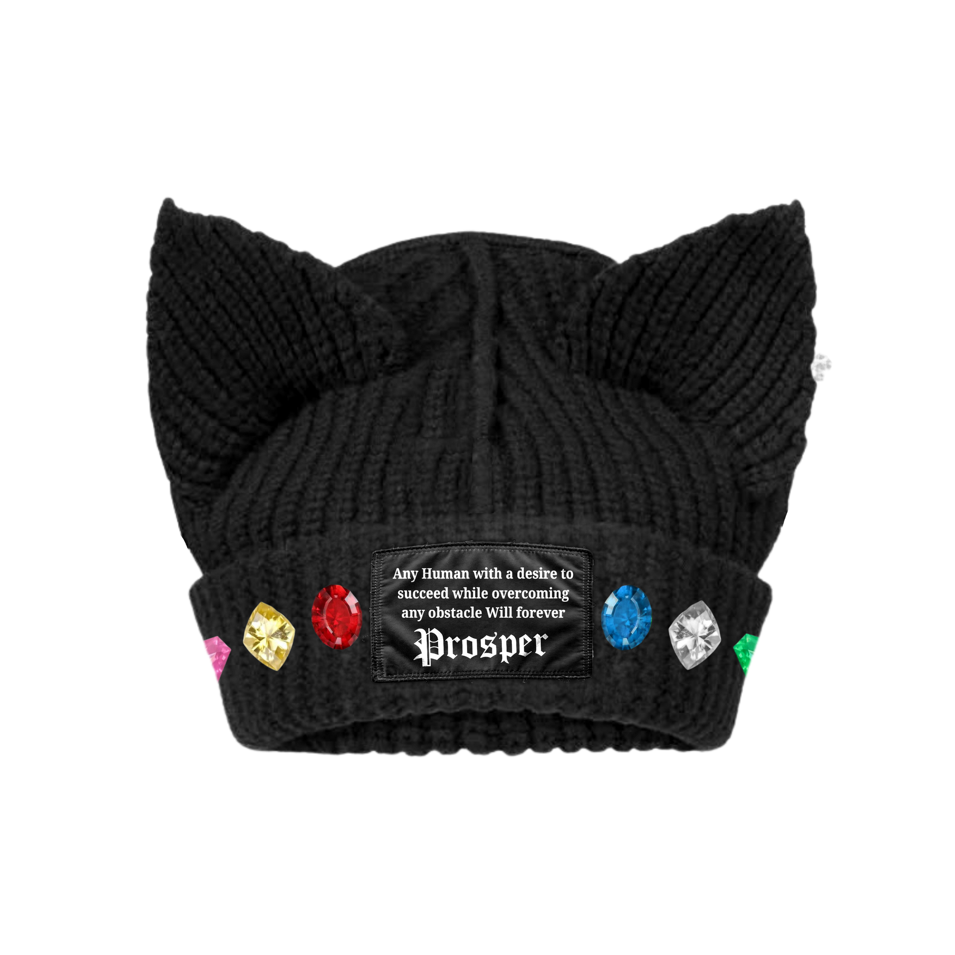 "DESTINED" HORN BEANIE